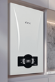 E.C.A Proteus Premix 24 Kw Tam Yoğuşmalı Kombi